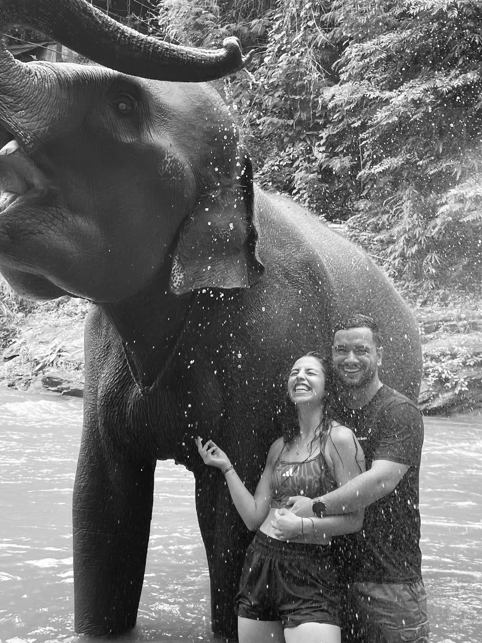 Susana y Samuel junto a un elefante en Chiang Mai.